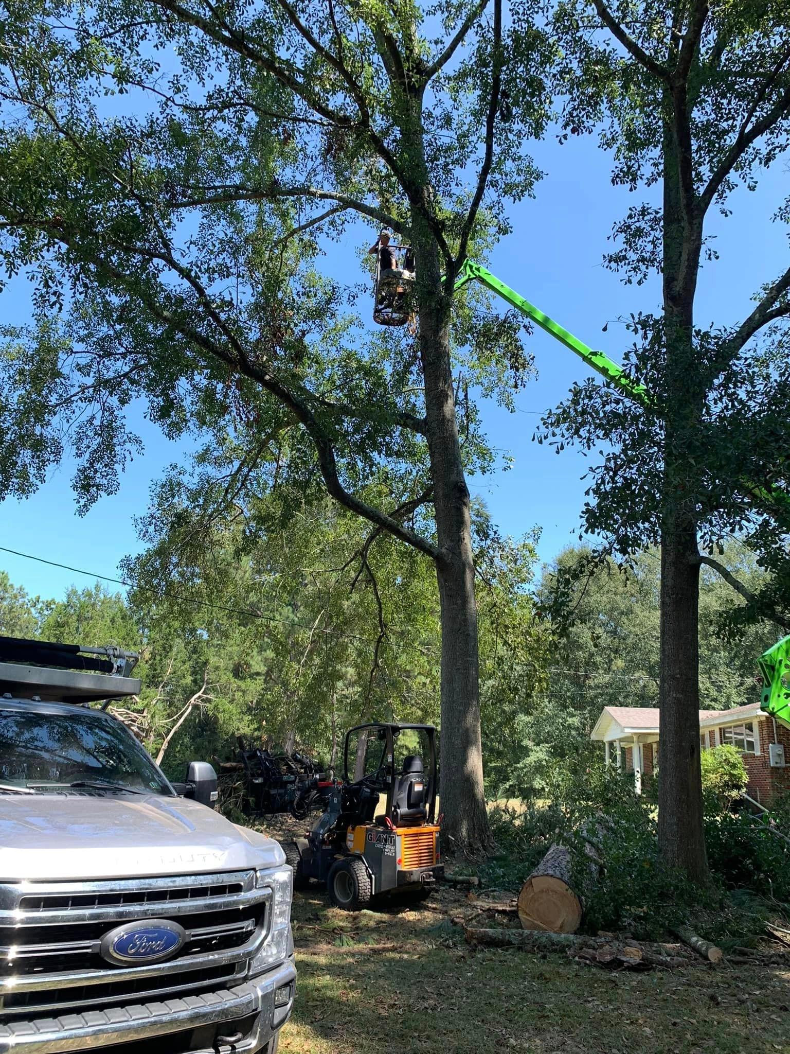 Coulson Tree Service LLC